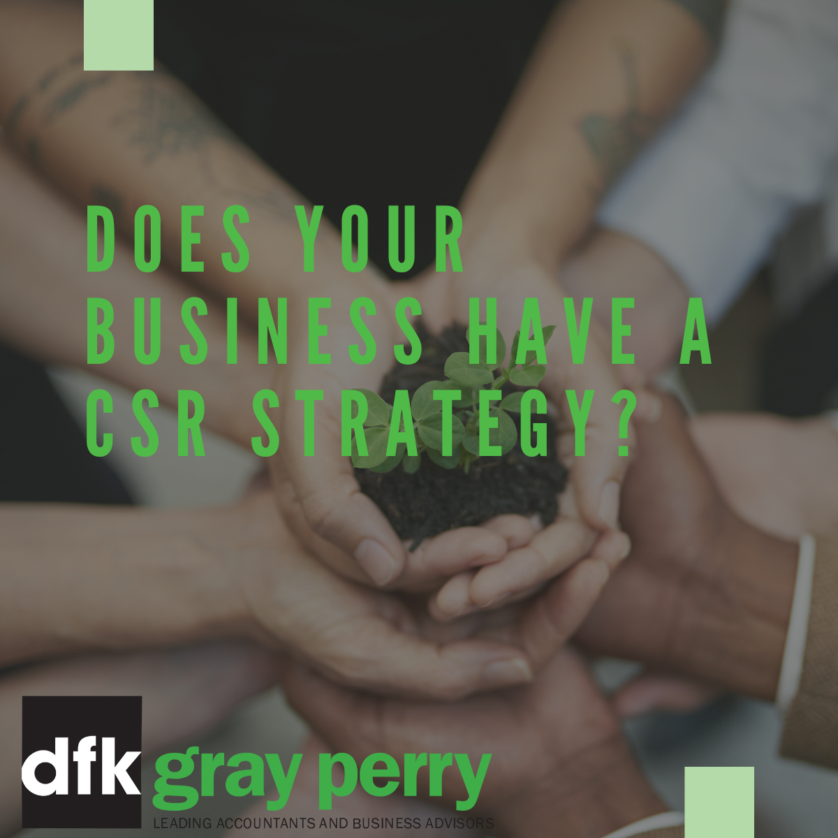 Gray Perry SM - CSR strategy